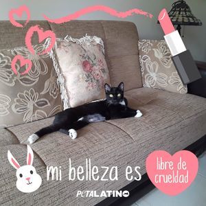 Meet your Posher, Martha